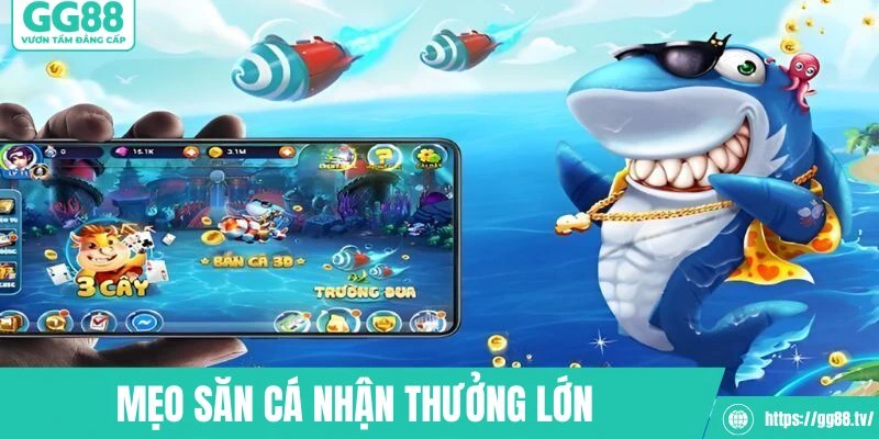 Vận dụng linh hoạt các chiến thuật săn cá